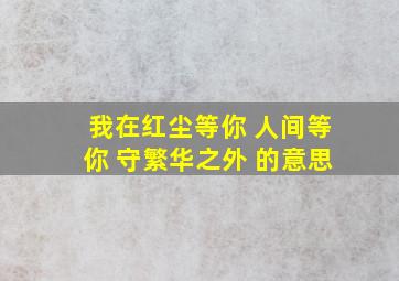 我在红尘等你 人间等你 守繁华之外 的意思